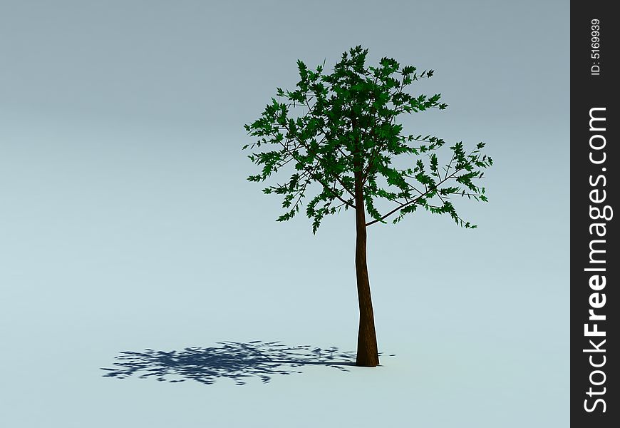 Green tree for a background. Green tree for a background