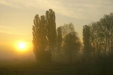 Foggy Morning Royalty Free Stock Images Foggy Morning Royalty Free Stock Images