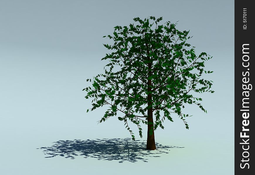 Green tree for a background. Green tree for a background