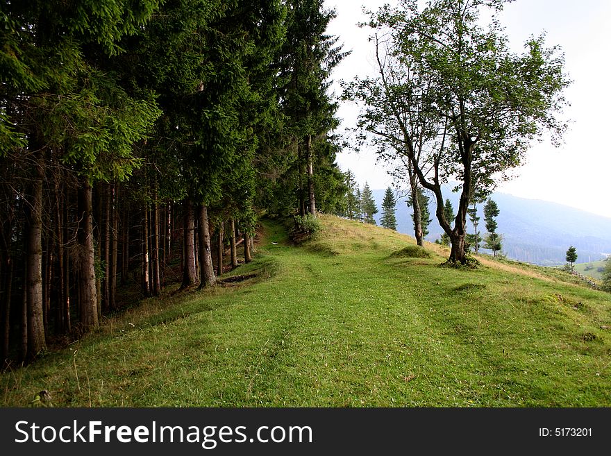 Road in the Carpathian mounts, Ukraine. Road in the Carpathian mounts, Ukraine