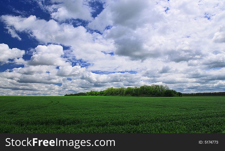 The green field and white cloud. The green field and white cloud