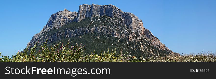 Tavolara is a little but important island on the coast of Sardinia, in front Olbia & Porto San Paolo. 
This island is a good place to see nature & animals. Tavolara is a little but important island on the coast of Sardinia, in front Olbia & Porto San Paolo. 
This island is a good place to see nature & animals.