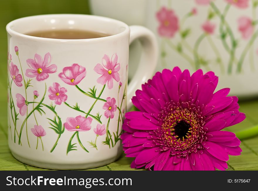 Tea time with pink Gerbera on green background