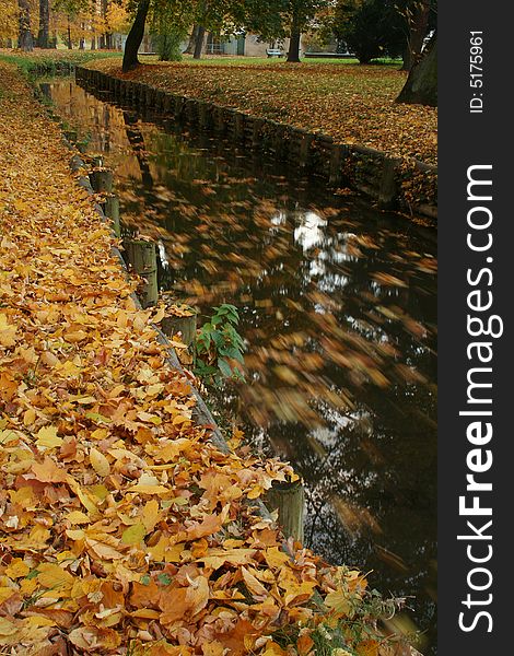 A brook with floating foliage in the autumn park