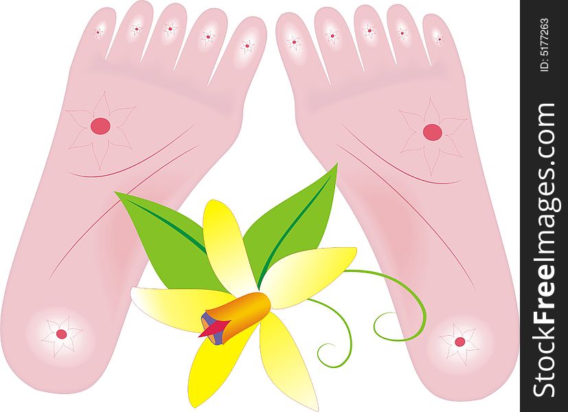 Two rose foots with flower of the vanillas in the middle. Two rose foots with flower of the vanillas in the middle.