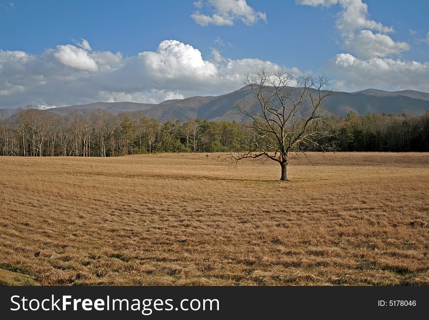 Mowed pasture foreground with mountains in distance. Mowed pasture foreground with mountains in distance
