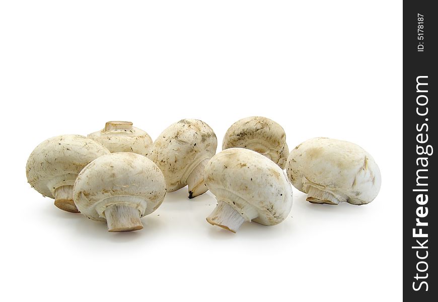 Champignons on a white background