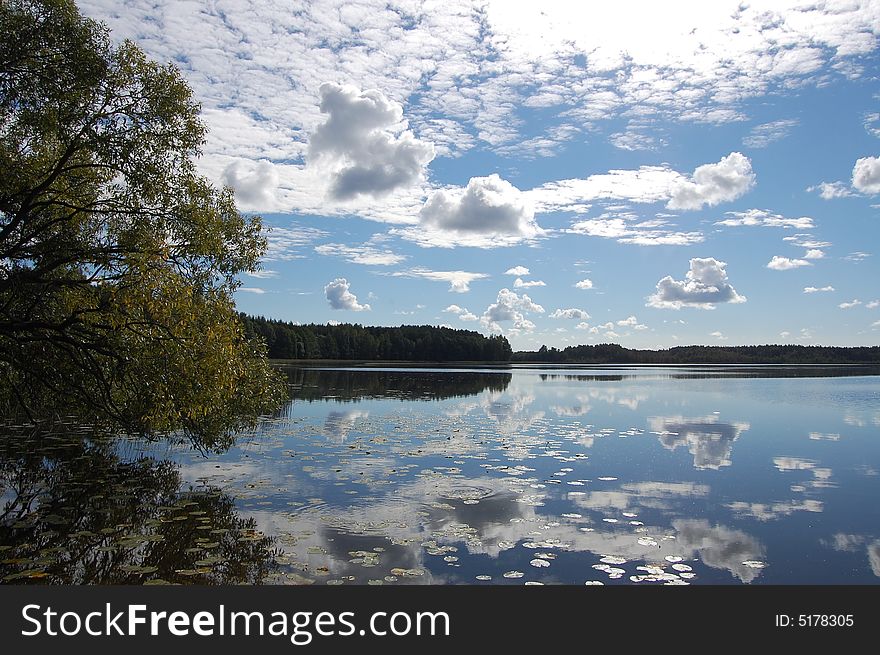 Lake and tree under sky and clouds