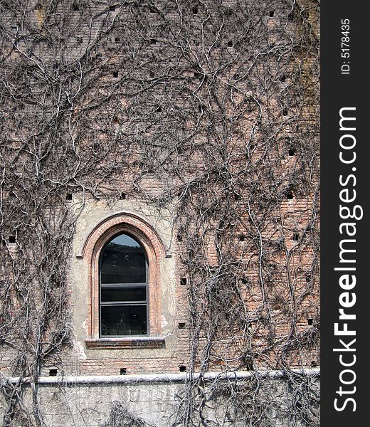 A window in the Sforzesco Castle in Milan, Italy