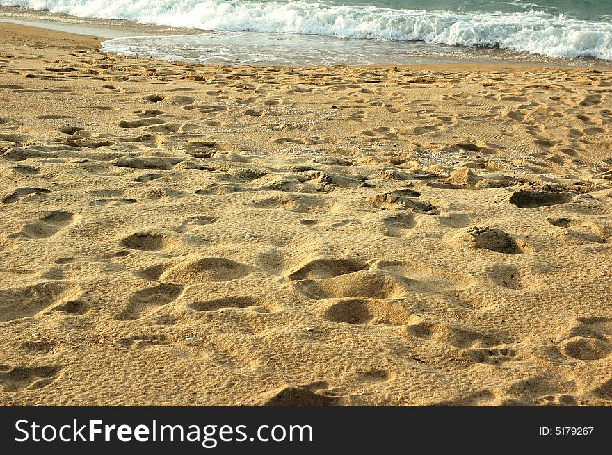 Peaceful sandy tropical beach on a summer day. Peaceful sandy tropical beach on a summer day