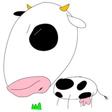 Cow Stock Photo Cow Stock Photo