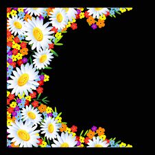 The Frame Flower. Square. Stock Images