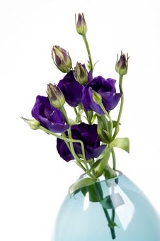 Pastel Flowers In Vase Royalty Free Stock Photos Pastel Flowers In Vase Royalty Free Stock Photos