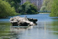 St James Park Royalty Free Stock Photography St James Park Royalty Free Stock Photography