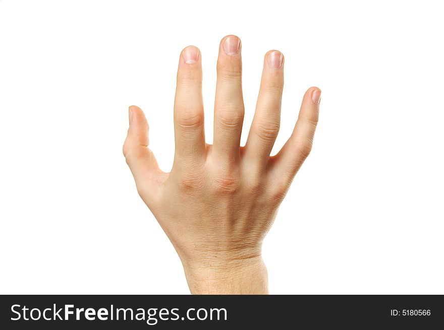 Palm to hold something isolated over white background