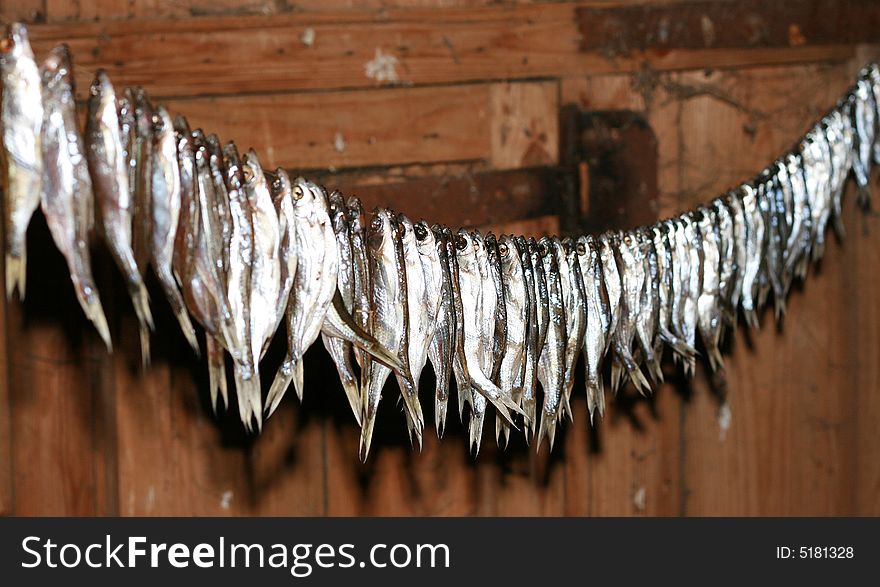 Row dried fish, still life