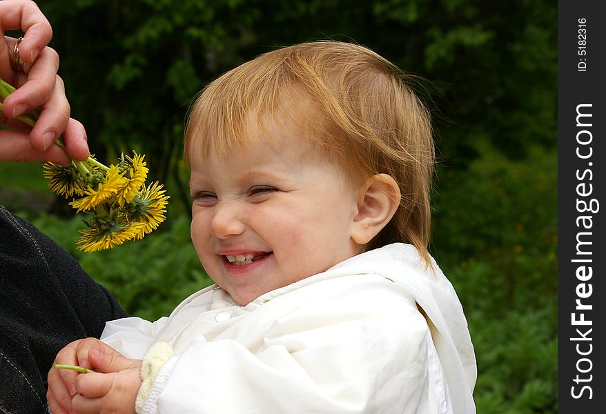 Little girl smells yellow dandelions and dared. Little girl smells yellow dandelions and dared