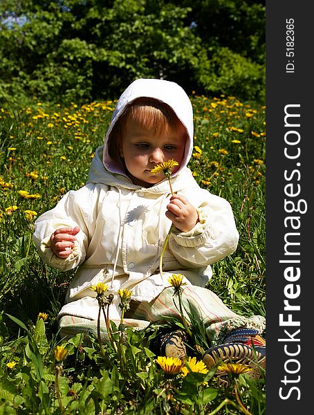 The small beautiful girl holds a yellow dandelion in a hand. The small beautiful girl holds a yellow dandelion in a hand