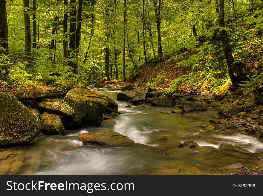 Mountain river in the forest of mountains with a waterfall