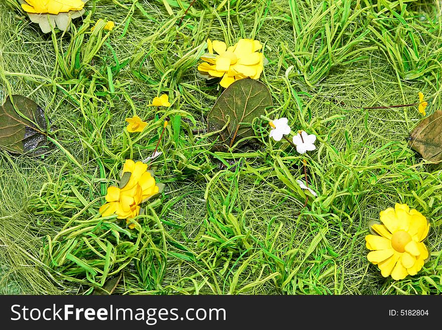 Natural background made from green grass and flowers. Natural background made from green grass and flowers