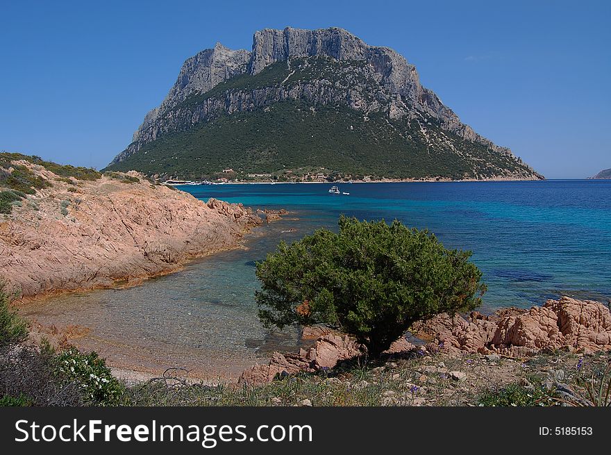 Tavolara is a little but important island on the coast of Sardinia, in front Olbia & Porto San Paolo. This island is a good place to see nature & animals. Tavolara is a little but important island on the coast of Sardinia, in front Olbia & Porto San Paolo. This island is a good place to see nature & animals.