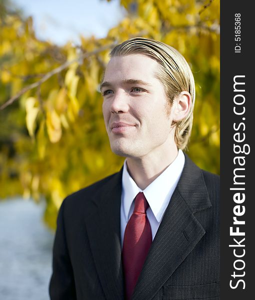 Portrait of young blond hair blue eye businessman wearing suit and tie