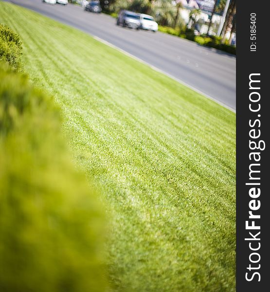 Grass And Cars