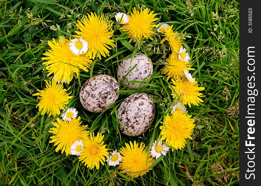 Easter eggs and dandelions chain on grass