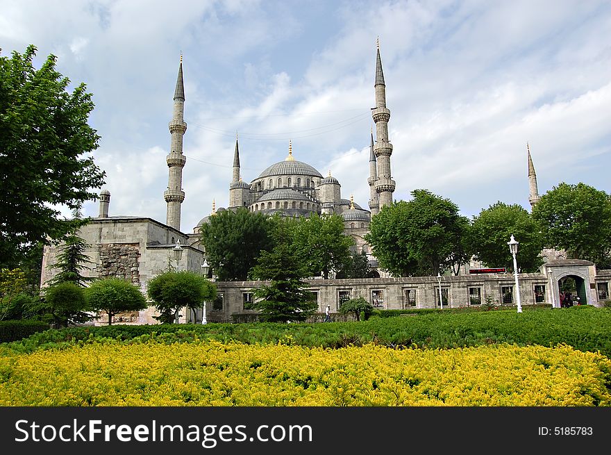 Blue mosque behind yellow euonymus