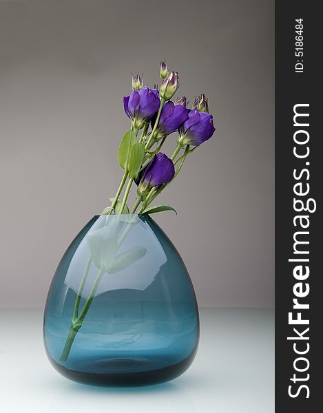 Pastel flowers in vase isolated.