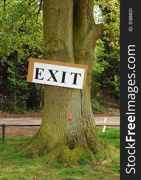 Exit sign nailed to a large oak tree