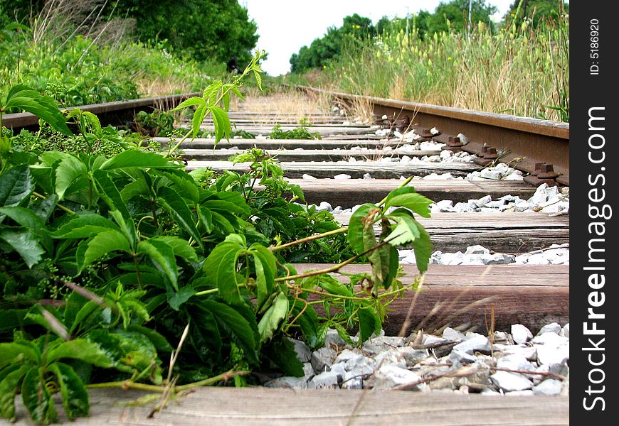 Old rusty railway overgrown with plants. Old rusty railway overgrown with plants
