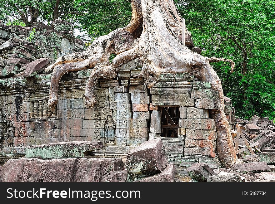 The Preah Khan temple was constructed in the style of bayon in the late 12th century by the king Jayavarman VII; more than a temple it was probably a Buddhist university; the walls and pilliars are decorated with religious and mythological figures; in this picture the roots of an old silk-cotton tree over a wall. The Preah Khan temple was constructed in the style of bayon in the late 12th century by the king Jayavarman VII; more than a temple it was probably a Buddhist university; the walls and pilliars are decorated with religious and mythological figures; in this picture the roots of an old silk-cotton tree over a wall