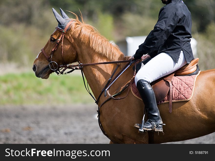 Woman on a horse at jumping event. Woman on a horse at jumping event