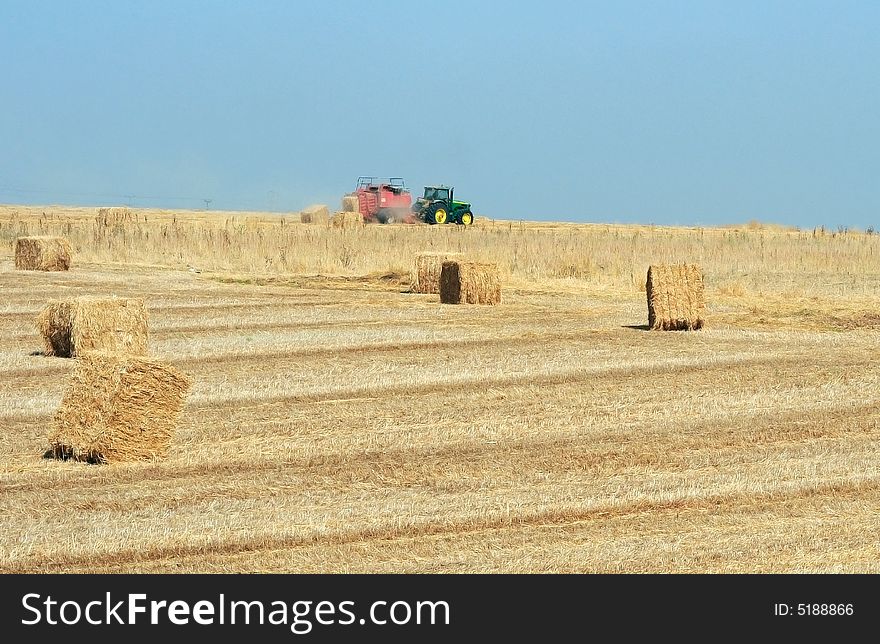 Field after Harvest with sheaf of straw