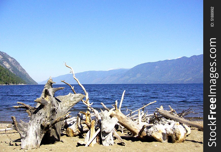 Mountain Altai