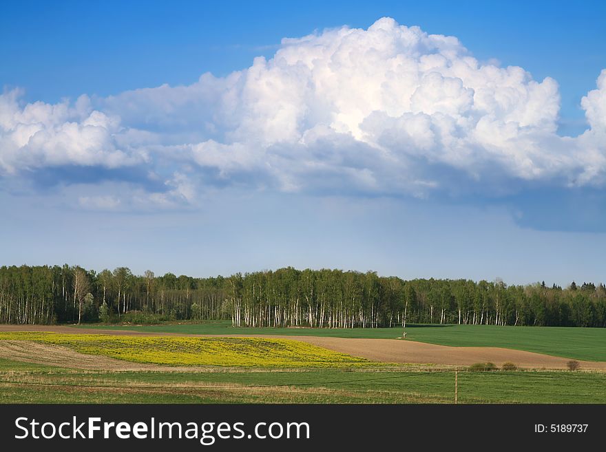 Country field view in Latvia