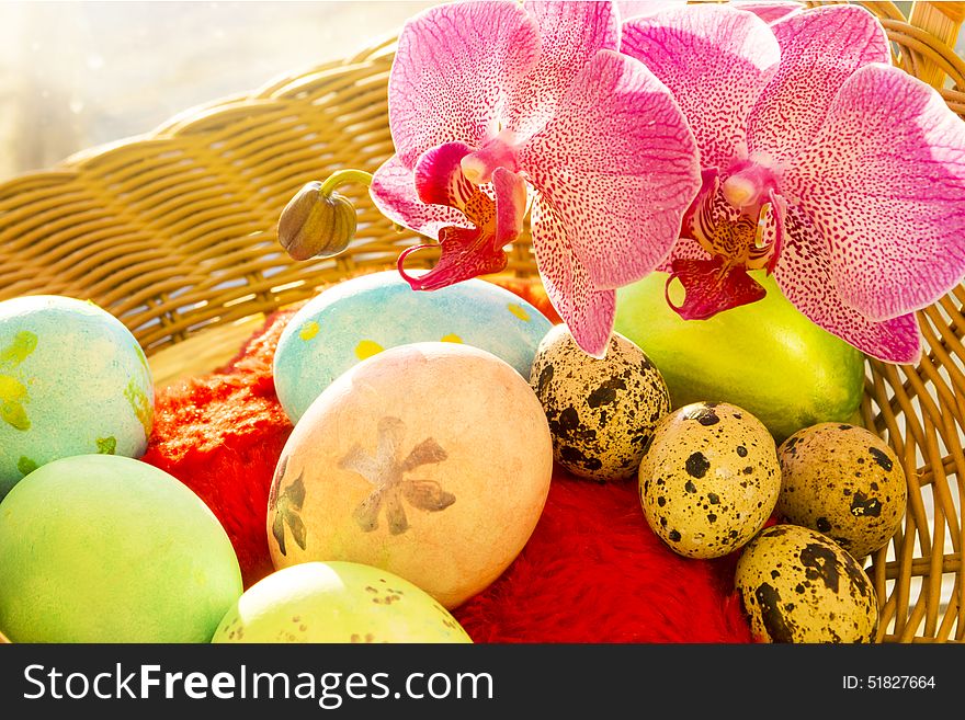 Easter eggs in a basket, flowering Orchid, sunrise. Easter eggs in a basket, flowering Orchid, sunrise