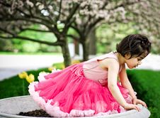 Girl In Flower Garden Stock Photos Girl In Flower Garden Stock Photos