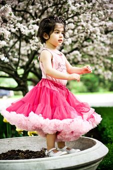Girl In Flower Garden Stock Photography Girl In Flower Garden Stock Photography