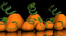Pumkin Jack-o-lantern Royalty Free Stock Photo Pumkin Jack-o-lantern Royalty Free Stock Photo
