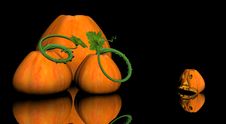Pumkin Jack-o-lantern Stock Photos Pumkin Jack-o-lantern Stock Photos