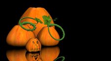 Pumkin Royalty Free Stock Image Pumkin Royalty Free Stock Image