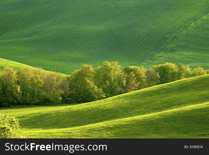 Green luxuriant sloping fields of wheat in the Tuscany region of Italy. This is in Val d'Orcia, a valley in the heart of Tuscany that is a UN World Heritage Site. Green luxuriant sloping fields of wheat in the Tuscany region of Italy. This is in Val d'Orcia, a valley in the heart of Tuscany that is a UN World Heritage Site.