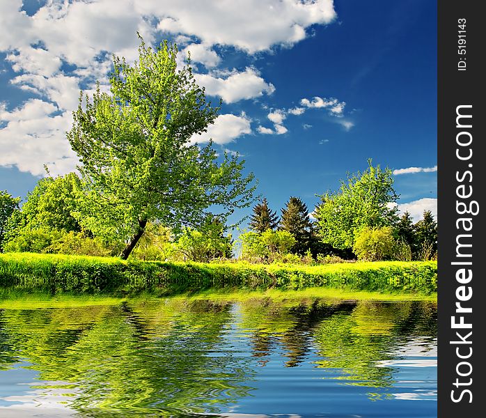 Summer landscape. Green trees on blue sky background