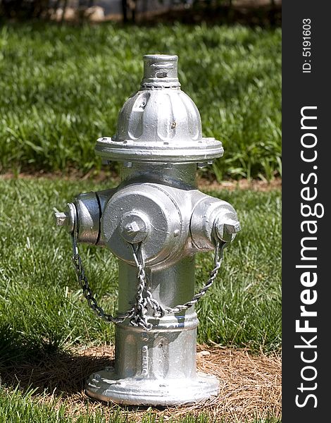 A bright silver painted fire hydrant in a field of green. A bright silver painted fire hydrant in a field of green