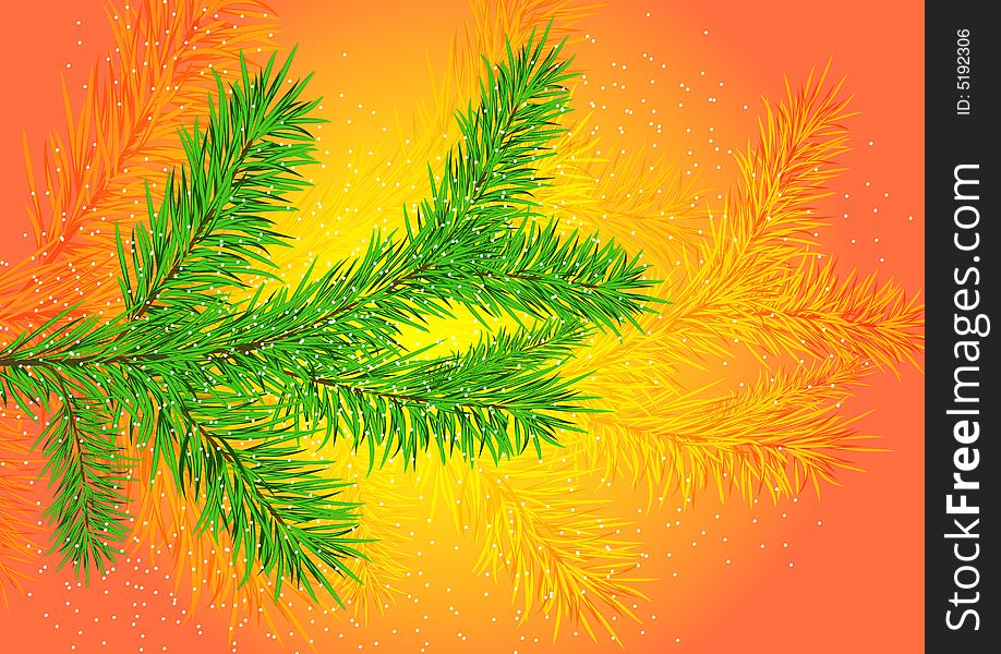 Christmas tree branch on the red-yellow background