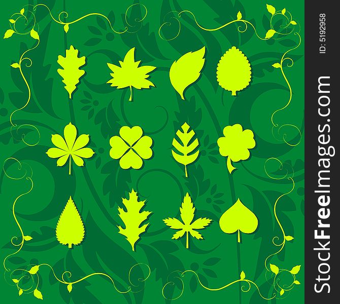 Leafs on the green background