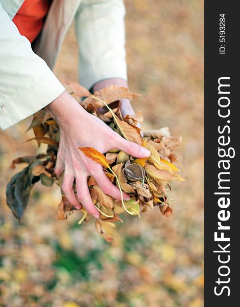 Woman holding a bunch of leaves outside in the autumn with fallen leaves. Woman holding a bunch of leaves outside in the autumn with fallen leaves