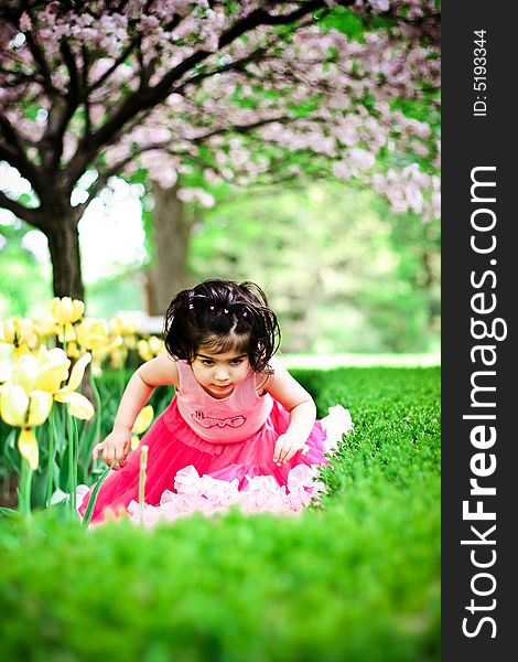 Cute girl in a flower garden wearing a cute pettiskirt. Cute girl in a flower garden wearing a cute pettiskirt